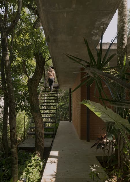 A Forest in the House